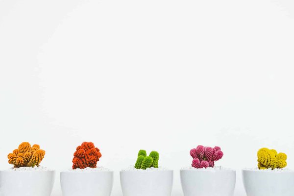 Comment réussir ses créations en FIMO : Astuces et conseils pratiques